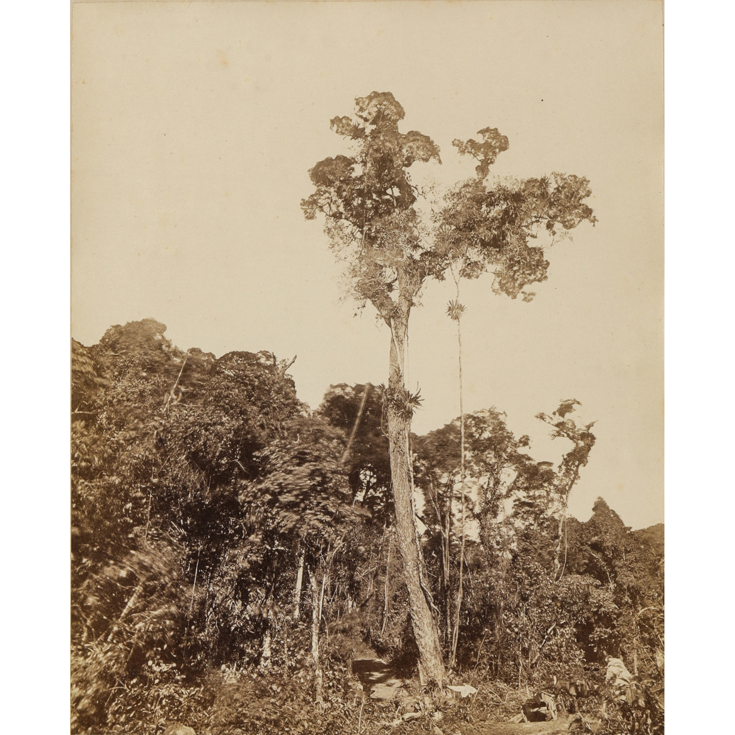 Unidentified photographer Brazil, c. 1870-1890.